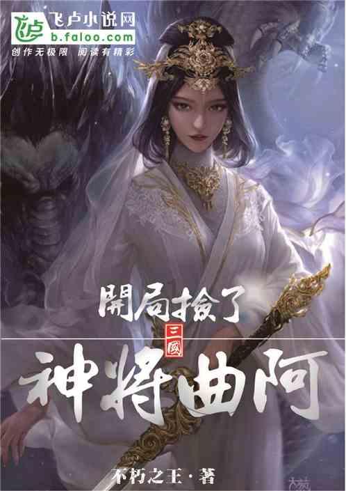 彼得比尔特379拼图