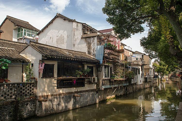 小红帽的冒险之旅